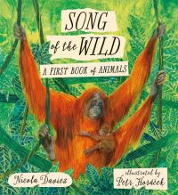 Book Cover for Song of the Wild by Nicola Davies
