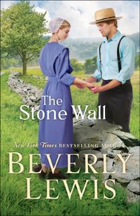 Book Cover for The Stone Wall by Beverly Lewis