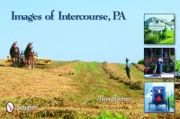 Book Cover for Images of Intercourse by Tina Skinner