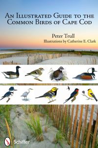 Book Cover for An Illustrated Guide to the Common Birds of Cape Cod by Peter Trull