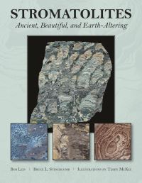 Book Cover for Stromatolites by Bob Leis, Bruce L Stinchcomb