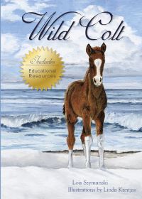 Book Cover for Wild Colt by Lois Szymanski