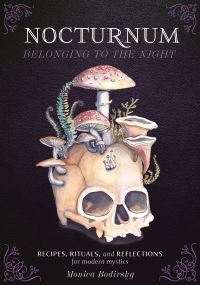 Book Cover for Nocturnum Belonging to the Night by Monica Bodirsky