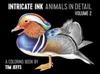 Book Cover for Intricate Ink by Tim Jeffs