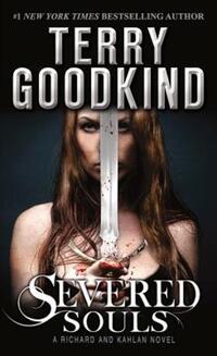 Book Cover for Severed Souls by D B Jackson