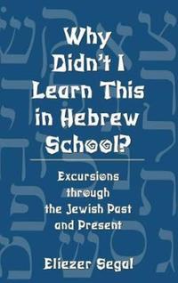 Book Cover for Why Didn't I Learn This in Hebrew School? by Eliezer Segal