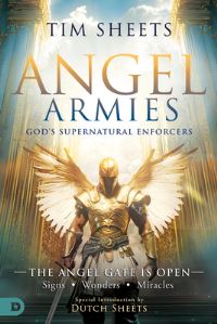 Book Cover for Angel Armies: God's Supernatural Enforcers by Tim Sheets