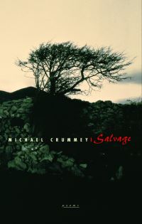 Book Cover for Salvage by Michael Crummey