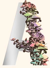 Book Cover for Ambergris by Jeff VanderMeer