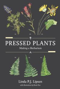 Book Cover for Pressed Plants by Linda P J Lipsen