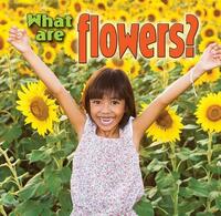 Book Cover for What Are Flowers? by Kelley MacAulay