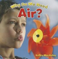 Book Cover for Why Do We Need Air? by Kelley MacAulay