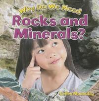 Book Cover for Why Do We Need Rocks and Minerals? by Kelley MacAulay