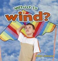 Book Cover for What Is Wind? by Robin Johnson