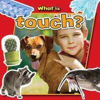 Book Cover for What Is Touch? by 
