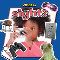 Book Cover for What Is Sight? by 