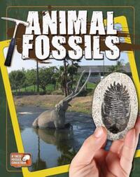 Book Cover for Animal Fossils by 