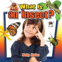 Book Cover for What Is an Insect? by Molly Aloian