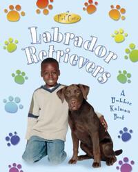 Book Cover for Labrador Retrievers by Kelley MacAulay, Bobbie Kalman