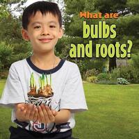 Book Cover for What Are Bulbs and Roots? by Molly Aloian