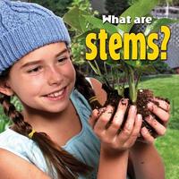 Book Cover for What Are Stems? by Molly Aloian