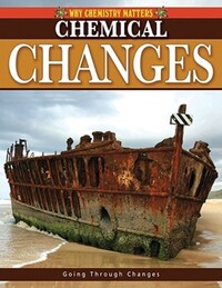 Book Cover for Chemical Changes by Lynnette Brent