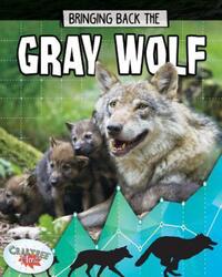 Book Cover for Bringing Back the Gray Wolf by Cynthia OBrien