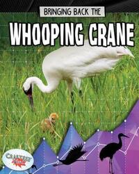 Book Cover for Bringing Back the Whooping Crane by Rachel Stuckey