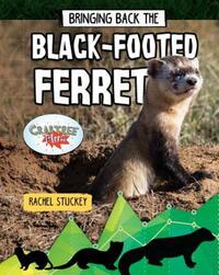 Book Cover for Bringing Back the Black-Footed Ferret by Rachel Stuckey