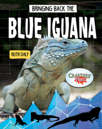 Book Cover for Bringing Back the Blue Iguana by Ruth Daly
