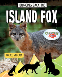 Book Cover for Bringing Back the Island Fox by Rachel Stuckey