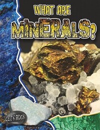 Book Cover for What Are Minerals? by Natalie Hyde