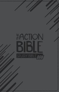 Book Cover for The Action Bible Study Bible ESV by Catherine DeVries
