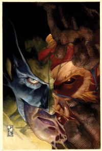 Book Cover for Sabretooth Reborn by Jeph Loeb