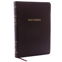 Book Cover for KJV Holy Bible by Thomas Nelson