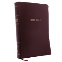 Book Cover for KJV Holy Bible by Thomas Nelson