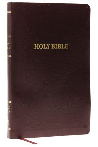 Book Cover for KJV Holy Bible by Thomas Nelson