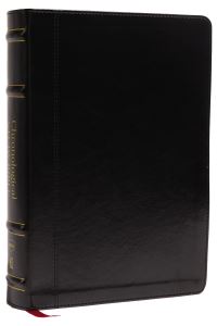 Book Cover for The Holy Bible by 