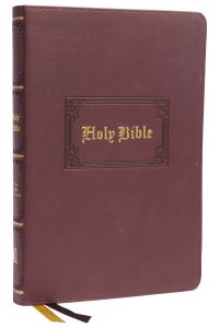 Book Cover for The Holy Bible by 