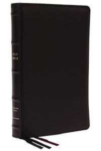 Book Cover for The Holy Bible by 