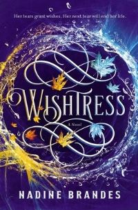Book Cover for Wishtress by Nadine Brandes