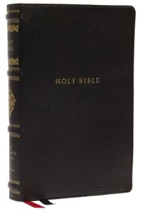 Book Cover for The Holy Bible by 