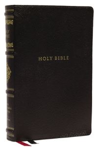 Book Cover for The Holy Bible by 