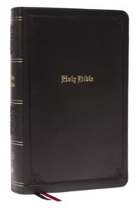Book Cover for The Holy Bible by 