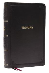 Book Cover for The Holy Bible by 
