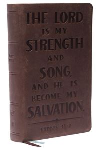 Book Cover for The Holy Bible by 