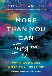 Book Cover for More Than You Can Imagine by Susie Larson