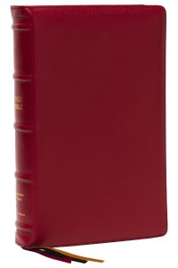 Book Cover for KJV Holy Bible by Thomas Nelson