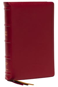Book Cover for KJV Holy Bible by Thomas Nelson