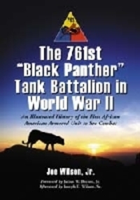 Book Cover for The 761st 